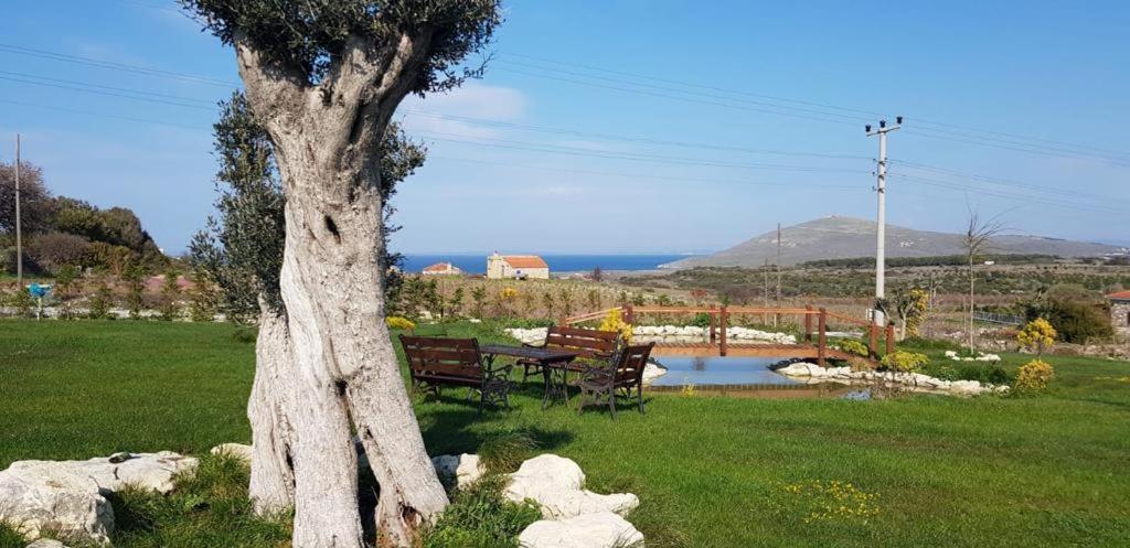 Adayel Bagevi & Butik Otel Bozcaada Esterno foto