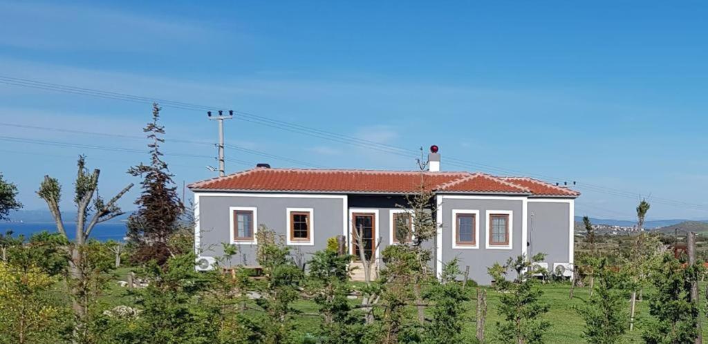 Adayel Bagevi & Butik Otel Bozcaada Esterno foto